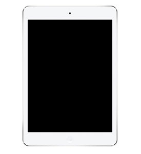 iPad Mini