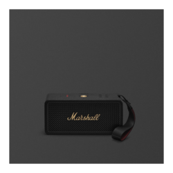 Ремонт Marshall Middleton II